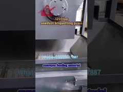 Prensadora de briquetas de virutas de aluminio/cobre/metal/fundición de hierro de 1250 toneladas WANSHIDA